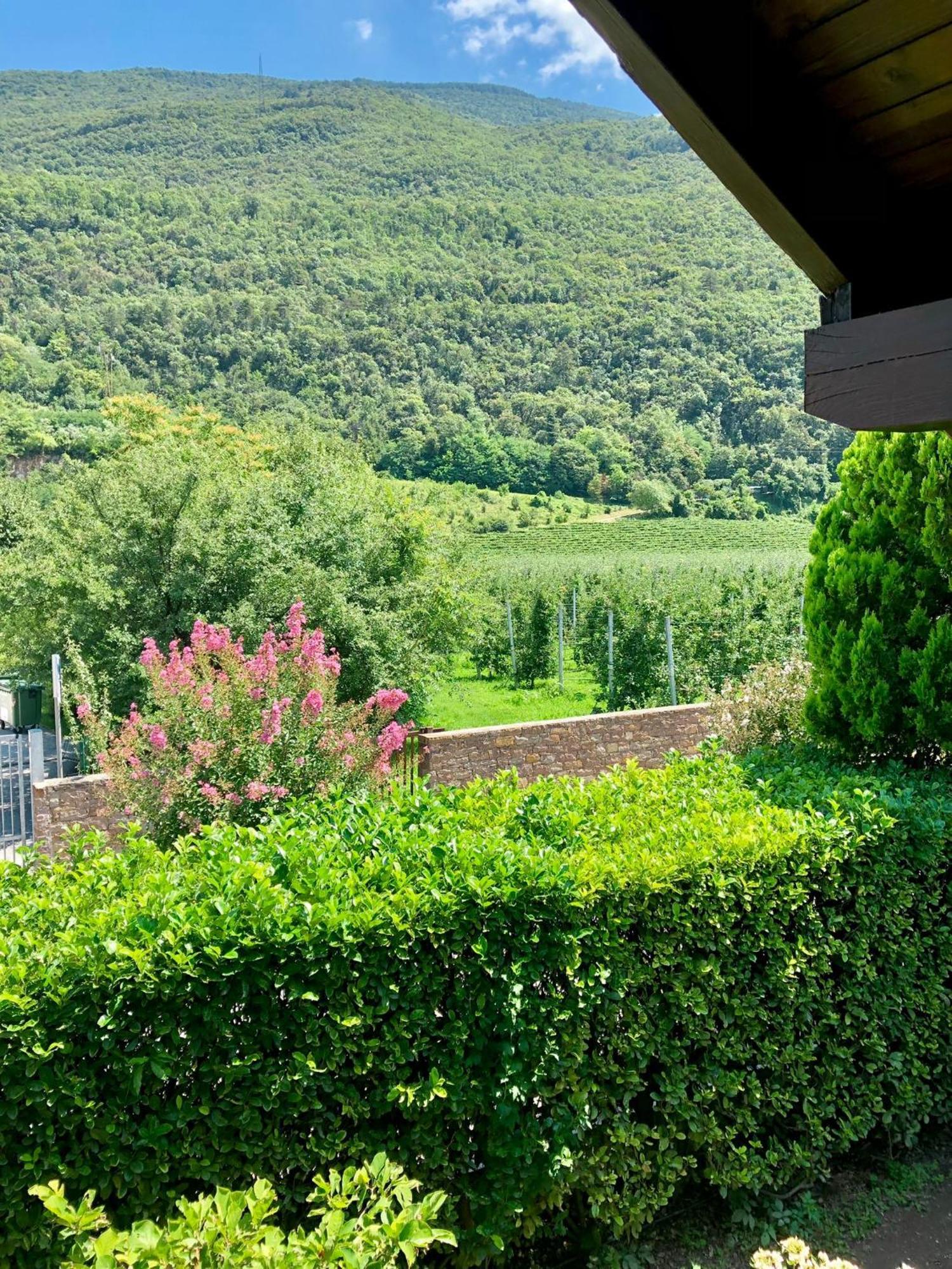 Casa Sally San Michele allʼAdige Zewnętrze zdjęcie